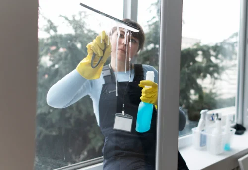 Nettoyage de vitres intérieures et extérieures à Sainte-Marie-des-Champs